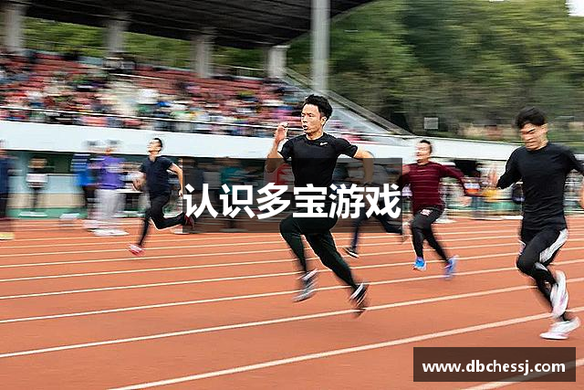 认识多宝游戏